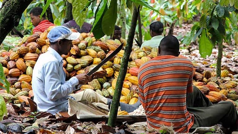 Twifo Ati-Morkwa Farmers